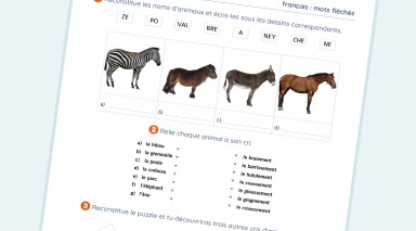 exercice Français - CE2  - Vocabulaire / les animaux