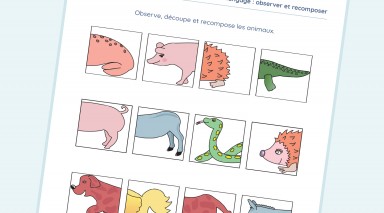 exercice Langage - maternelle Moyenne Section - Observer et recomposer
