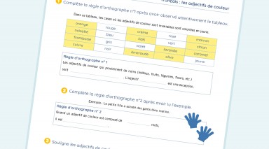 exercice Français - CM1  - Les adjectifs de couleur