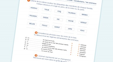 exercice Français - CM1  - Vocabulaire / les animaux