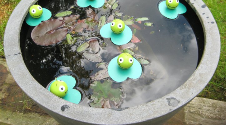 La pêche de la Grenouille - France Bleu