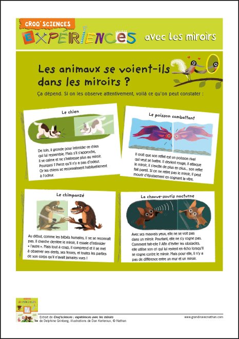 animaux miroirs