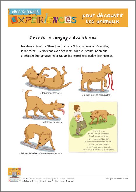 décode le langage des chiens