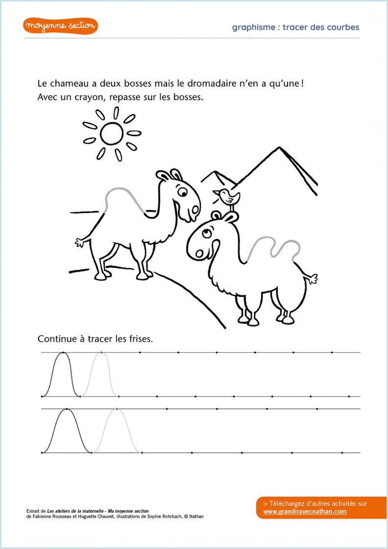 Exercices De Graphisme à Imprimer Tracer des courbes - Exercices et activités en moyenne section | Grandir avec Nathan
