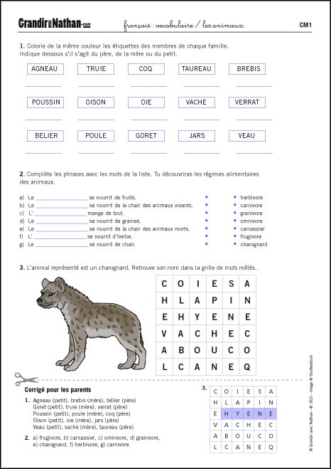 Vocabulaire / les animaux - Exercices en CM1 | Grandir ...
