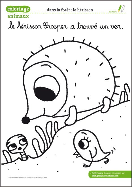 Coloriage Le Herisson Coloriages Animaux Grandir Avec Nathan Coloriage Le Herisson Coloriages Animaux Grandir Avec Nathan