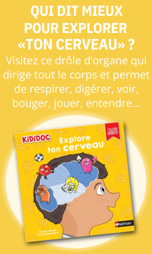 Kididoc Cerveau