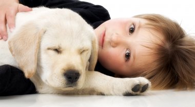 Animaux passion des enfants - enfant et chien enfant et chien