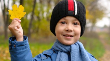 Jeu avec des feuilles d'automne - enfant ramassant des feuilles automne enfant ramassant des feuilles automne
