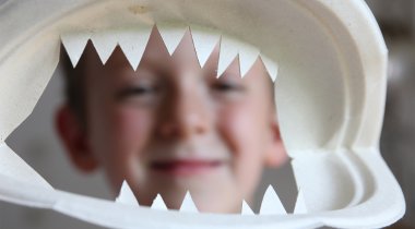 Le masque de requin - Le masque de requin Le masque de requin